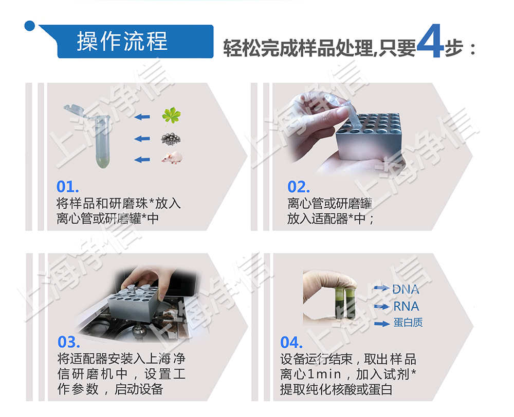 上海凈信-組織研磨機助力中國海關(guān)抗擊非洲豬瘟的工作進行